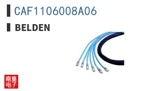CAF1106008A06