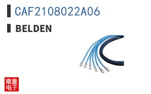 CAF2108022A06