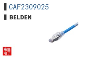 CAF2309025