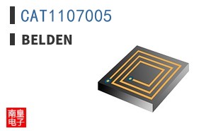 CAT1107005