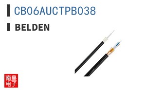 CB06AUCTPB038