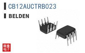 CB12AUCTRB023