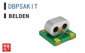 DBPSAKIT