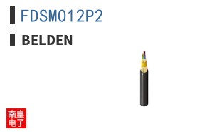 FDSM012P2