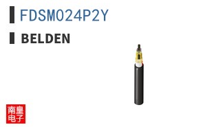 FDSM024P2Y