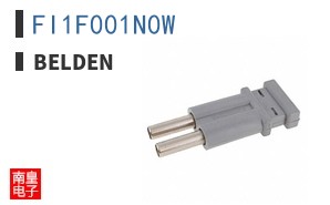 FI1F001N0W
