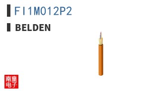 FI1M012P2
