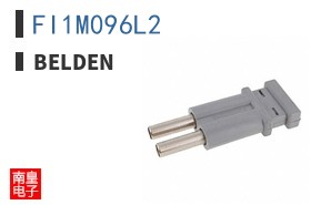 FI1M096L2