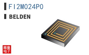 FI2M024P0