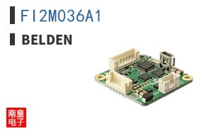 FI2M036A1