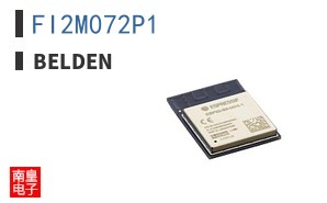 FI2M072P1