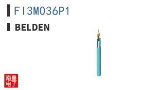 FI3M036P1