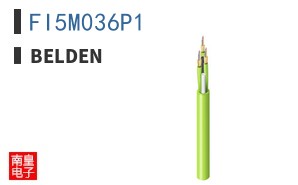 FI5M036P1