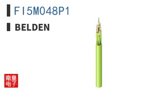 FI5M048P1
