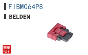 FIBM064P8