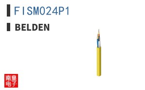 FISM024P1