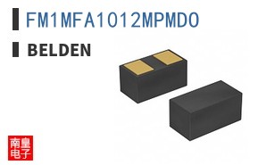 FM1MFA1012MPMDO