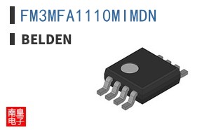 FM3MFA1110MIMDN