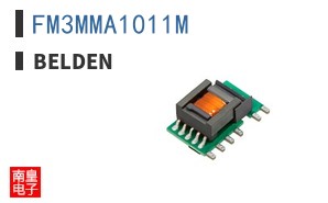 FM3MMA1011M