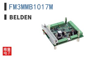 FM3MMB1017M