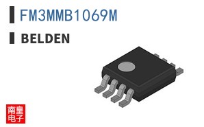 FM3MMB1069M