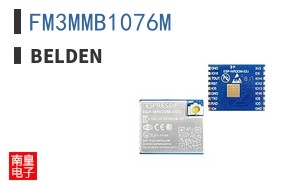 FM3MMB1076M