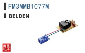FM3MMB1077M