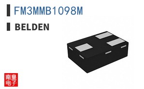 FM3MMB1098M