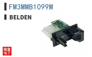 FM3MMB1099M