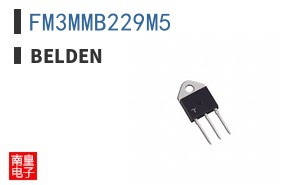 FM3MMB229M5