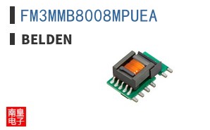 FM3MMB8008MPUEA