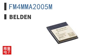FM4MMA2005M