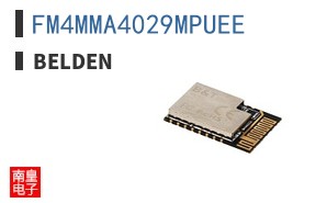 FM4MMA4029MPUEE