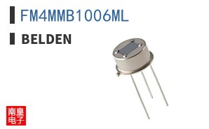FM4MMB1006ML