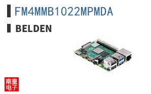 FM4MMB1022MPMDA