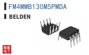 FM4MMB130M5PMDA