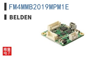 FM4MMB2019MPM1E