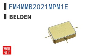 FM4MMB2021MPM1E