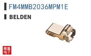 FM4MMB2036MPM1E