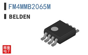 FM4MMB2065M