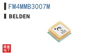 FM4MMB3007M
