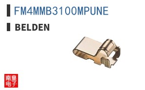 FM4MMB3100MPUNE