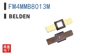 FM4MMB8013M