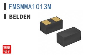 FMSMMA1013M