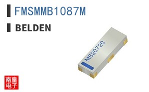 FMSMMB1087M