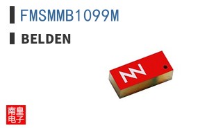 FMSMMB1099M