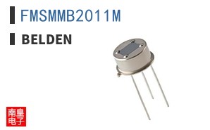 FMSMMB2011M