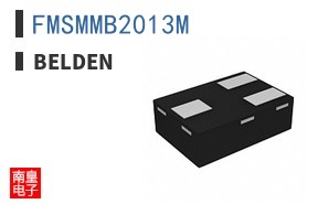 FMSMMB2013M