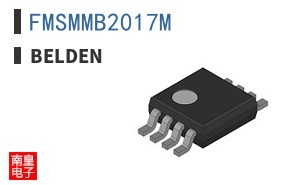 FMSMMB2017M