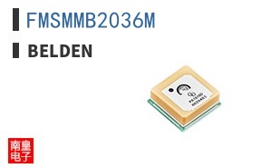 FMSMMB2036M